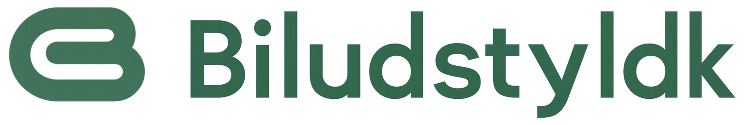 biludstyrdk.com logo