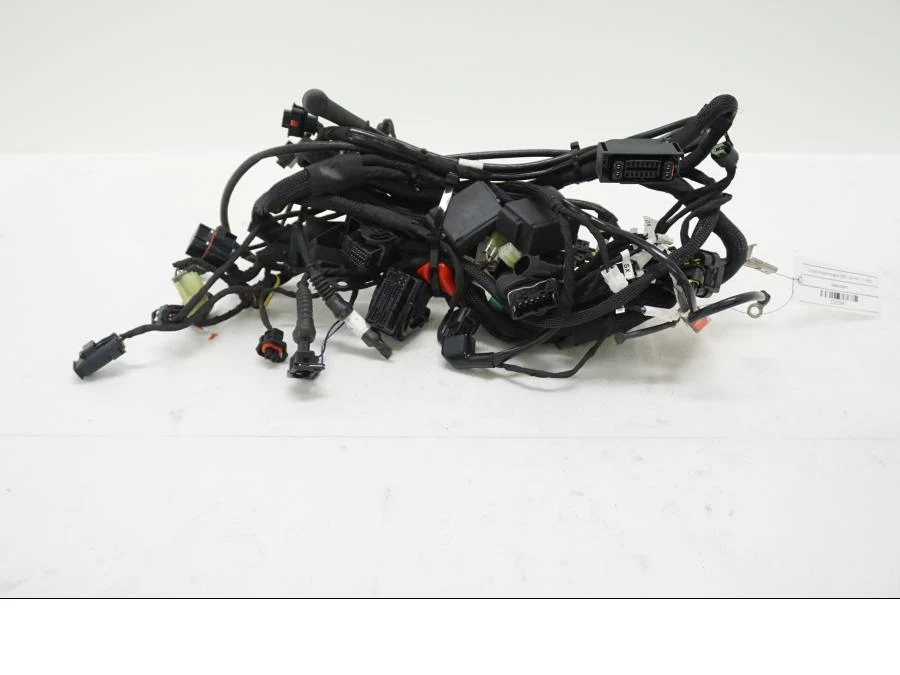 Kabelstam Ducati