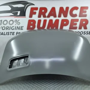 Motorhjelm til Renault Alpine A290 fra 09/2024 – ny original til lakering