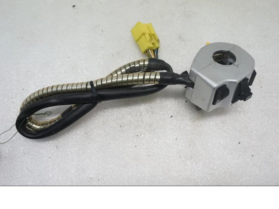 Styrekontrol Suzuki